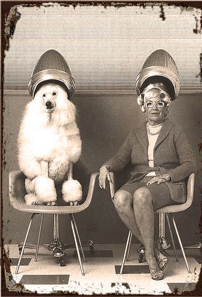 Peluqueria / Barberia